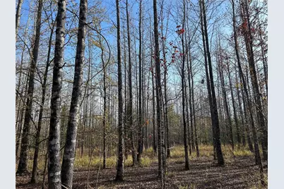 Tract A County Road 1412, Bogata, TX 75426 - Photo 15