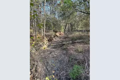 Tract A County Road 1412, Bogata, TX 75426 - Photo 9