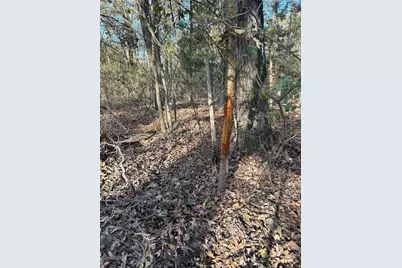 Tract A County Road 1412, Bogata, TX 75426 - Photo 13