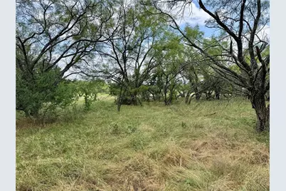 170 Brazos West Drive, Mineral Wells, TX 76067 - Photo 13