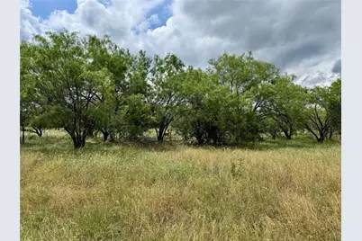 170 Brazos West Drive, Mineral Wells, TX 76067 - Photo 7