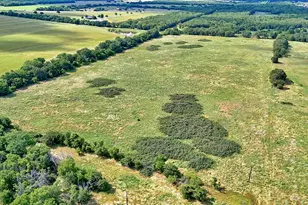 1494 Alamo Rd, Montague, TX 76251 - Photo 1