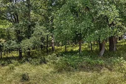 Tbd Vz Cr 2705, Mabank, TX 75147 - Photo 23