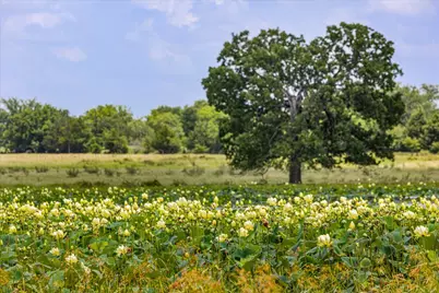 Tbd Vz Cr 2705, Mabank, TX 75147 - Photo 31