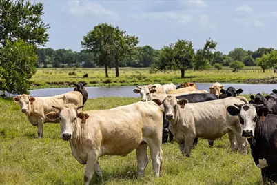 Tbd Vz Cr 2705, Mabank, TX 75147 - Photo 39