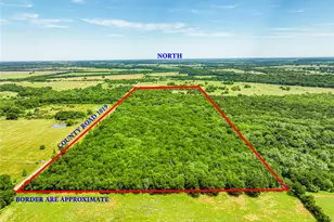 0000 County Road 1019, Celeste, TX 75423 - Photo 1