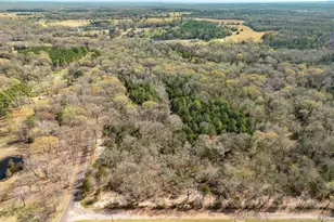 Tract 1 Tbd Vzcr 1507, Grand Saline, TX 75140 - Photo 1