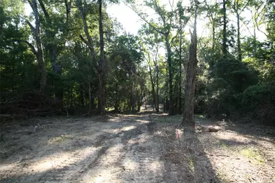 Tract 2 Tbd Vzcr 1507, Grand Saline, TX 75140 - Photo 3