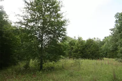 Tract 2 Tbd Vzcr 1507, Grand Saline, TX 75140 - Photo 17