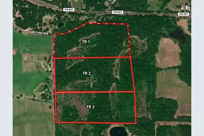 Tract 2 Tbd Vzcr 1507, Grand Saline, TX 75140 - Photo 1