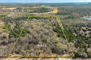 Tract 2 Tbd Vzcr 1507, Grand Saline, TX 75140 - Photo 1