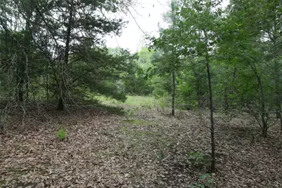 Tract 2 Tbd Vzcr 1507, Grand Saline, TX 75140 - Photo 13