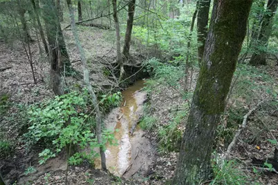 Tract 3 Tbd Vzcr 1507, Grand Saline, TX 75140 - Photo 15