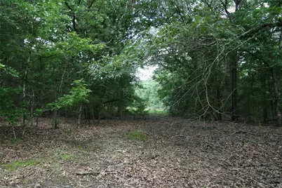 Tract 3 Tbd Vzcr 1507, Grand Saline, TX 75140 - Photo 19