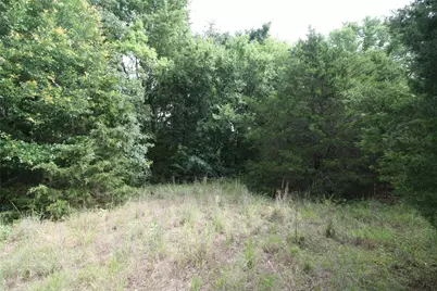 Tract 3 Tbd Vzcr 1507, Grand Saline, TX 75140 - Photo 9