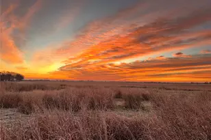 Tbd Cr-247, Valley View, TX 76272 - Photo 1