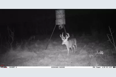 900 Calhoun Road, Gordon, TX 76453 - Photo 5