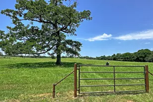 Tbd Cr-1127, Athens, TX 75751 - Photo 1