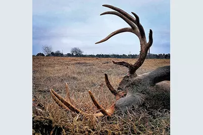 Tbd Cr-1127, Athens, TX 75751 - Photo 13