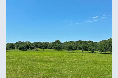 Tbd Cr-1127, Athens, TX 75751 - Photo 7