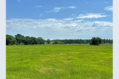 Tbd Cr-1127, Athens, TX 75751 - Photo 3