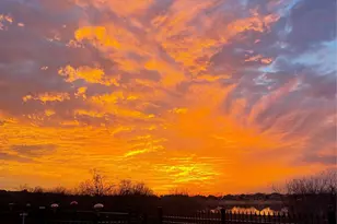 8336 Western, The Colony, TX 75056 - Photo 39