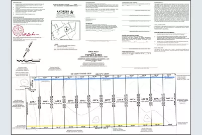 Tbd NE County Road 1010 Lot #1, Rice, TX 75155 - Photo 15