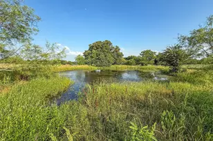 411 Cr-1475 Rd, Alvord, TX 76225 - Photo 7