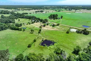 2228 VZ County Rd 1110, Grand Saline, TX 75140 - Photo 35