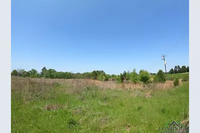 Tract 6 Hwy 259, Longview, TX 75605 - Photo 3