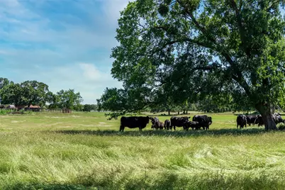 5200 Cross Timbers Road, Flower Mound, TX 75022 - Photo 15