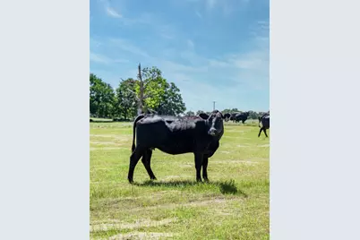 5200 Cross Timbers Road, Flower Mound, TX 75022 - Photo 17