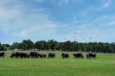 5200 Cross Timbers Road, Flower Mound, TX 75022 - Photo 11