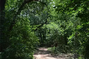 5712 County Rd 402, Grandview, TX 76050 - Photo 37