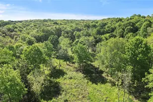 000 Hwy 56, Bells, TX 75414 - Photo 1
