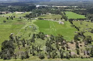 Tbd Fm 1256, Athens, TX 75752 - Photo 1