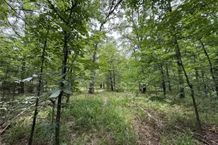 15195 Farm Road 71 E, Sulphur Bluff, TX 75481 - Photo 11