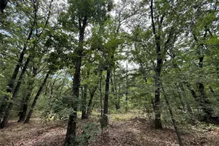 15195 Farm Road 71 E, Sulphur Bluff, TX 75481 - Photo 17