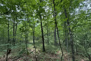 15195 Farm Road 71 E, Sulphur Bluff, TX 75481 - Photo 13