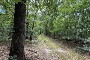 15195 Farm Road 71 E, Sulphur Bluff, TX 75481 - Photo 15