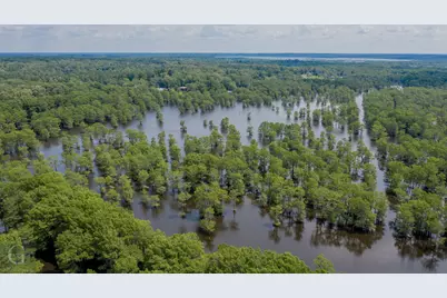 315 Lakeview Circle, Elm Grove, LA 71051 - Photo 19