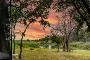 141 Lakeside Dr, Lipan, TX 76462 - Photo 31