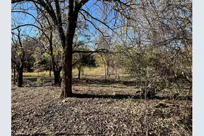Tbd Fm 731, Burleson, TX 76028 - Photo 3