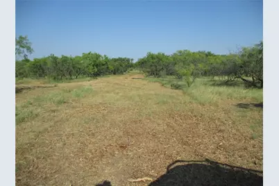 Tr 2 Big Sandy, Bowie, TX 76230 - Photo 5