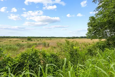0000 County Road 2085, Klondike, TX 75448 - Photo 21