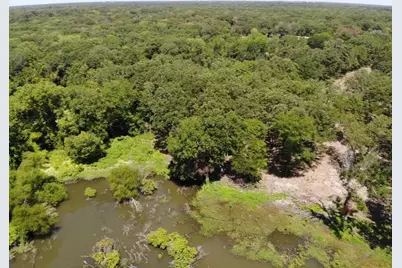 Tbd Cr-3624 Drive, Quinlan, TX 75474 - Photo 5