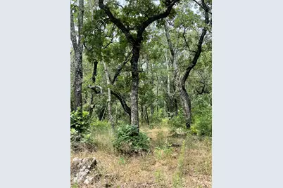 Tbd Fm 1658, Bridgeport, TX 76426 - Photo 21