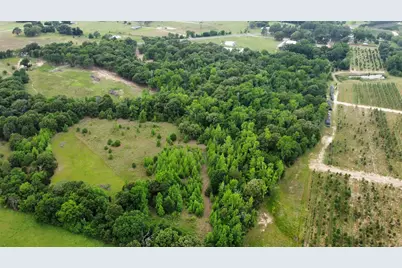 23551 Tx-19, Canton, TX 75103 - Photo 11