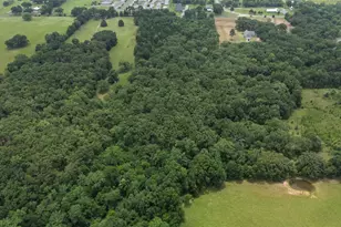 2062 VZ County Rd 1803, Grand Saline, TX 75140 - Photo 27