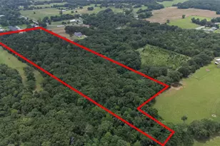 2062 VZ County Rd 1803, Grand Saline, TX 75140 - Photo 3